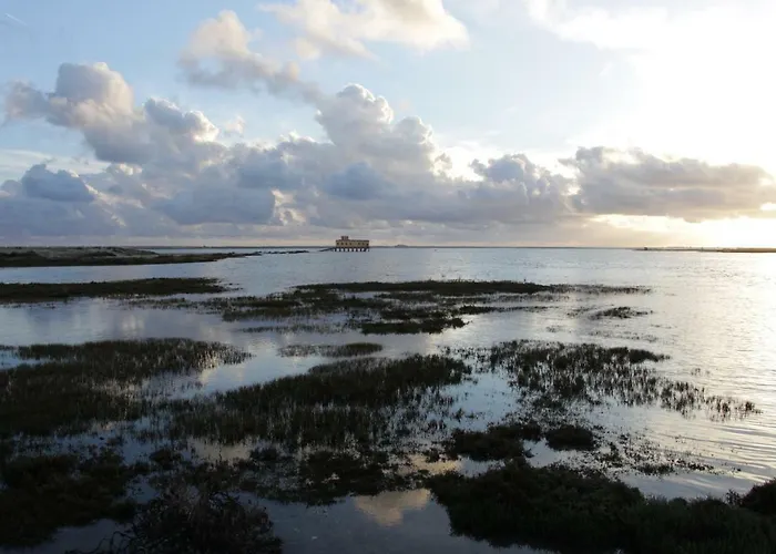 Monte Belo Romao Alloggio per agriturismo