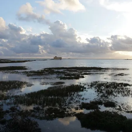 Monte Belo Romao Bauernhof