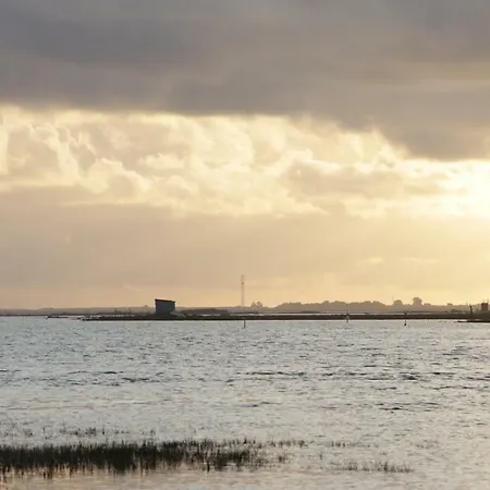 Farma Monte Belo Romao Olhão